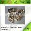 Food Supplement Maitake Mushroom Powder