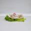 Chinese Canned Mackerel Fish From Pacific