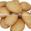 World Best Selling Wholesale Potato Importers