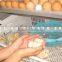 HHD brand best price industrial 1000 egg chicken egg incubator hatching machine for sale