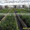 Greenhouses for agriculture production