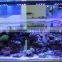 Ebay hot selling 120cm aquarium lights saltwater reef led lighting with wifi control