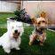 fake turf selling garden grass style wholesale turf for landscaping