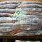 BQF illex argentina/argentinus squid WR