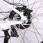 26 wheel size full suspension electric bike cheap fat tire electric bike with strong wattage 250W-750W
