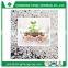 Agriculture water gel potassium polyacrylate crystals