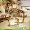 Factory Price high quality dinosaur fossils