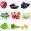 Industrial citrus fruit sorting vegetable grading  washing machine from China factory