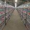 pp poultry farm manure conveyor belt Drinking system