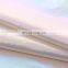 Bright Color Gilding Wind Proof Waterproof 380T 20D Nylon Taffeta Fabric For Dwon jacket