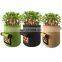 Shiitake Mushroom Garden Felt Grow Bag