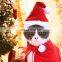 HQP-XP01 HongQiang Pet Christmas Clothes Dog Gift Accessories Pet ornament Costumes Cute Pet Collar Hat Scarf Set