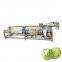 Food industry use Small Scale Air Bubble type Vegetable Fruit Washing Machine Food Washer