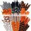 Halloween party paper straws Waterproof compostable eco-friendly dot striped China paper straw