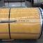 Manufacture Supply Single Side Paint Coating Ppgi Steel Coil Ral 9001 PPGL