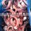 IQF frozen blanched squid tentacle skin on