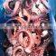 Wholesale frozen blanched squid tentacle cut good price