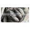IQF WR Chinese frozen skipjack tuna fish price for export