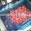 BRC Approved Manufacturer of IQF Frozen Whole Strawberry