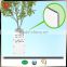 2015 Plastic 4*8 pp correx sheet for tree Protection tree guards