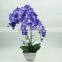 Indoor decor artificial latex flowers orchids with wholesale price