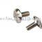 Stainless Steel Brass Nickel Plated Cross Screw