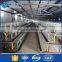 Hot sale chicken poultry cage with automated drinkers for wholesales