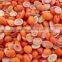 IQF Frozen small tomato in Competitive price in bulk