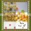 Snack food processing line