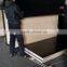 Offer 18mm film faced plywood poplar core for Mid east