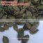 Dark green pumpkin seeds GWS AAA/AA/A/OIL GRADE