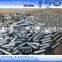 Female Forged Double Thread Nipple Supplier