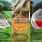 rattan hanging chair,rattan egg chair,hanging egg chair