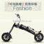 High power newest sale portable light weight electric scooter