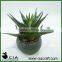 Mini Artificial Potted Aloe Succulent Plant in Concrete Barrel Pot