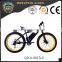 New style and hot selling fat tyre electric bicycle made in China