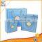 Custom Blue paper bag