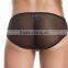 Sexy Men's Transparent Breathable Net Mesh Briefs Cotton Panty Thong Shorts