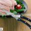 Stainless steel Kitchen Poultry Chicken Bone Shears Serrated Scissor