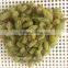 Air Dried AD Green Raisin with Factory Price