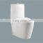 Modern Siphon Vortex Ceramic Human Toilet Bowl