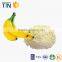 TTN export organic market prices dried fruit banana powder