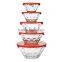 Embossed 5 Pcs Glass Salad Bowl Set Glass Food Container With Plastic Lids