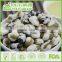 Youi BRC,HACCP, HALAL Roasted Black Beans