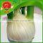 Best Quality Fennel with Good Price