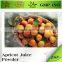 BNP Beverage Apricot Juice Powder