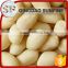The shandong blanched peanuts