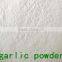dried garlic powder