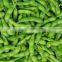 DPL-300 Bean Sheller Equipment Mung /Green Beans Peeling / Dehusk Machine with CE