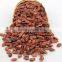 edible red water melon seeds big size
